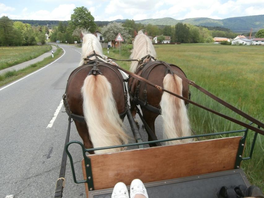 Romantische Pferdekutschenfahrt bzw. Pferdeschlittenfahrt  zu Zweit oder in einer Gruppe