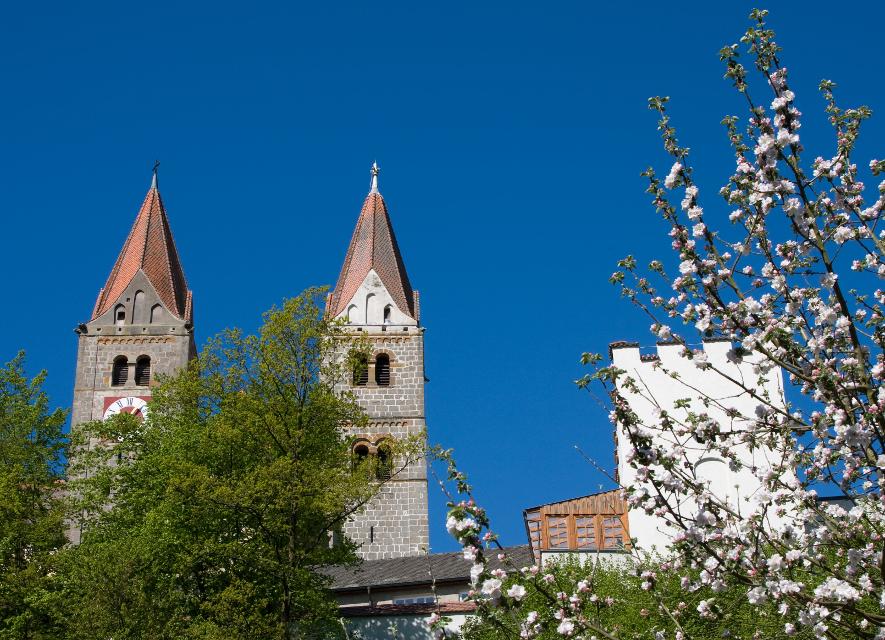 Das Kloster Reichenbach ist ein Kloster der Barmherzigen Brüder vom heiligen Johannes von Gott. 