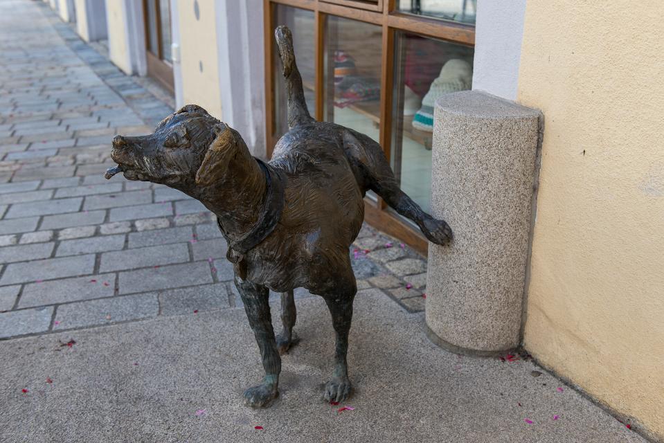 Rathausbrunnen in der Stadt Cham - die Bronzeplastik eines kleinen Hundes.