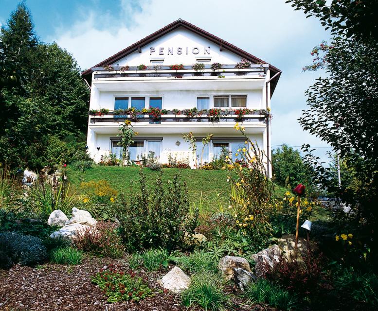 Unser Hotel liegt in Cham/Bayerischer Wald in ruhiger Waldlage direkt am Stadtpark. Des Weiteren vermieten wir eine FeWo. Wir laden Sie ein, unser Hotel und unseren Service kennenzulernen!