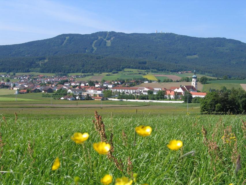 Die 5. Tages-Etappe auf dem Baierweg führt von Neukirchen b. Hl. Blut nach Kdyně (deutsch: Neugedein) in Tschechien.