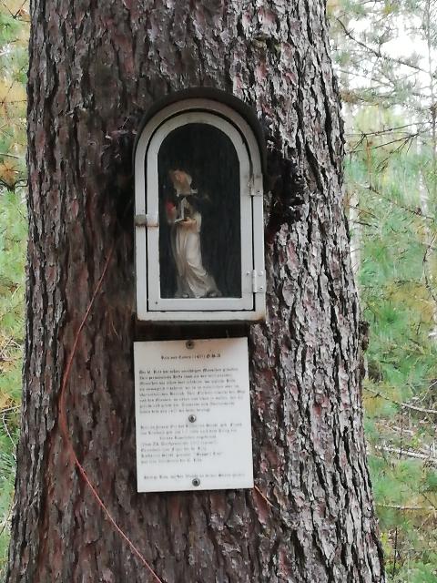 Ein kleines Kapellchen – der heiligen Rita geweiht – befestigt an einem Baum