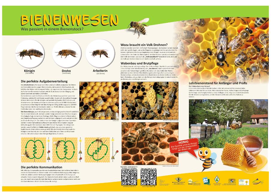 Neuer Naturlehrpfad beim Lehrbienenstand in Waldmünchen