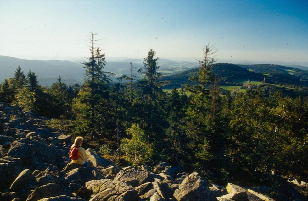 Eine Frau sitzt auf einem Felsen bei der Käsplatte und betrachtet die weite Landschaft. Nadelwald erstreckt sich unterhalb der Felsen.