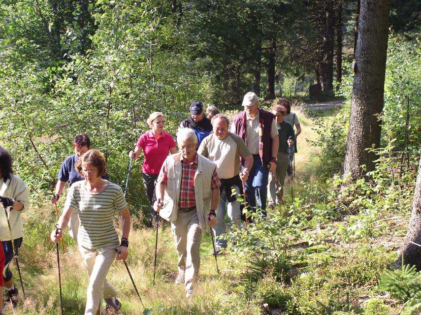 Nordic Walking in der Gruppe