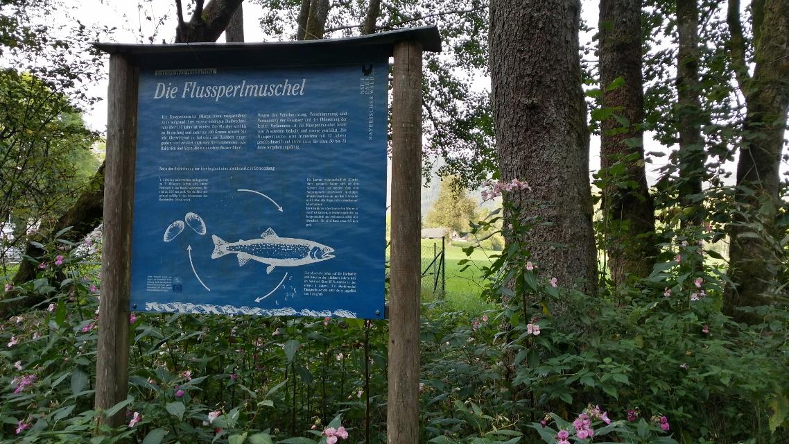 Das Perlbachtal in Richtung Steinburg ist als Natur- und Erlebnispfad ausgewiesen und mit vielen Informationstafeln bestückt.