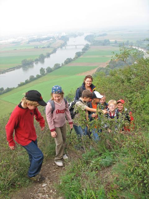 Eine Frau wandert, die Sträucher und Pflanzen erklärend, mit sieben Kindern auf dem Naturlehrpfad hoch zum Bogenberg. Im Tal fließt die Donau.