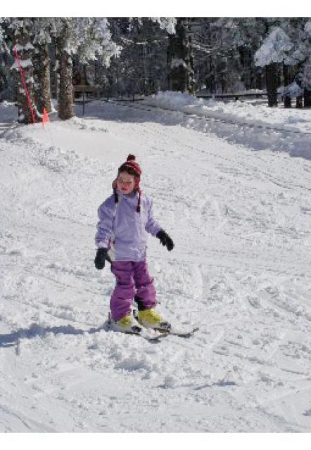 Die Skischule Sport Greil hat sich neben einem vielseitigen Kursangebot auf dem Schnee (Snowboard, Langlauf und Alpiner Skilauf) vor allem auf Kindergarten-Skikurse spezialisiert. 