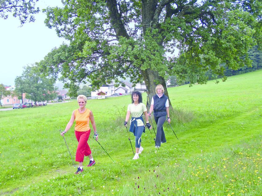 Drei Frauen in Sportkleidung, in den Händen Nordic-Walking-Stecken, gehen hintereinander über eine Sommerwiese, vorbei an einem hohen Laubbaum. Im Hintergrund einige Gebäude und Autos, die entlang einer Parkstraße stehen.