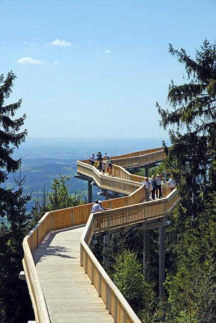 Waldwipfelweg mit 370 Meter langem Steg auf Baumkronenhöhe