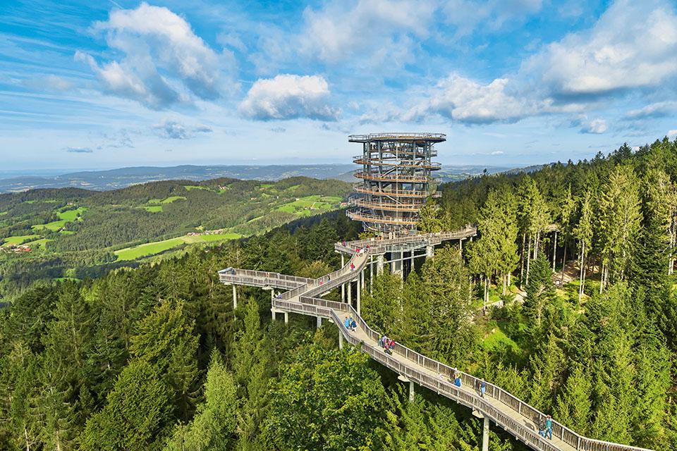 Waldwipfelweg mit 370 m langem Steg und 52 m hohem Waldturm. Eingebettet im Wald, umgeben von herrlicher Landschaft und darüber der heiter bewölkte Himmel.