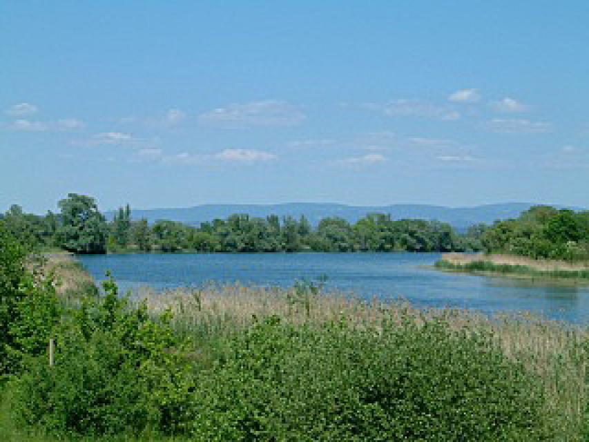 Angeln an der Donau - Öberauer Schleife