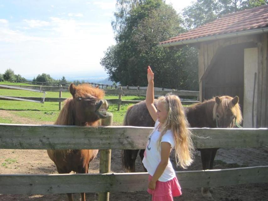 Auf einer Koppel neben einem Stallgebäude stehen zwei Ponys. Vor dem Zaun steht ein Mädchen mit langen, blonden Haaren und erhobener Hand, um eines der Ponys, das gerade laut wiehert, zu streicheln.