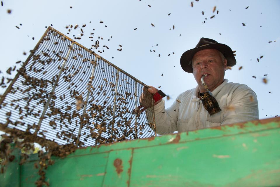 Honig, Honigprodukte und Führungen rund um die Biene