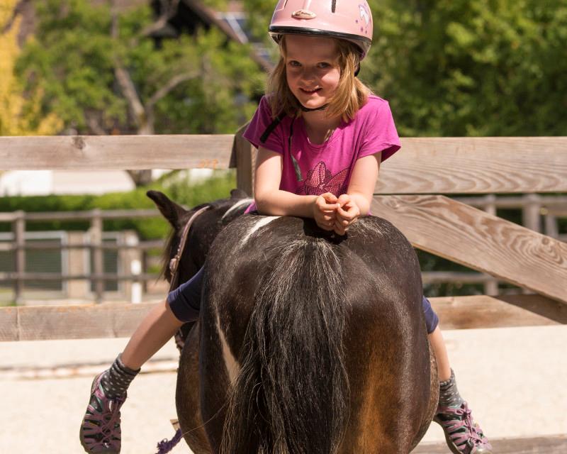 Therapeutisches Reiten und Kindergeburtstage mit Pferden