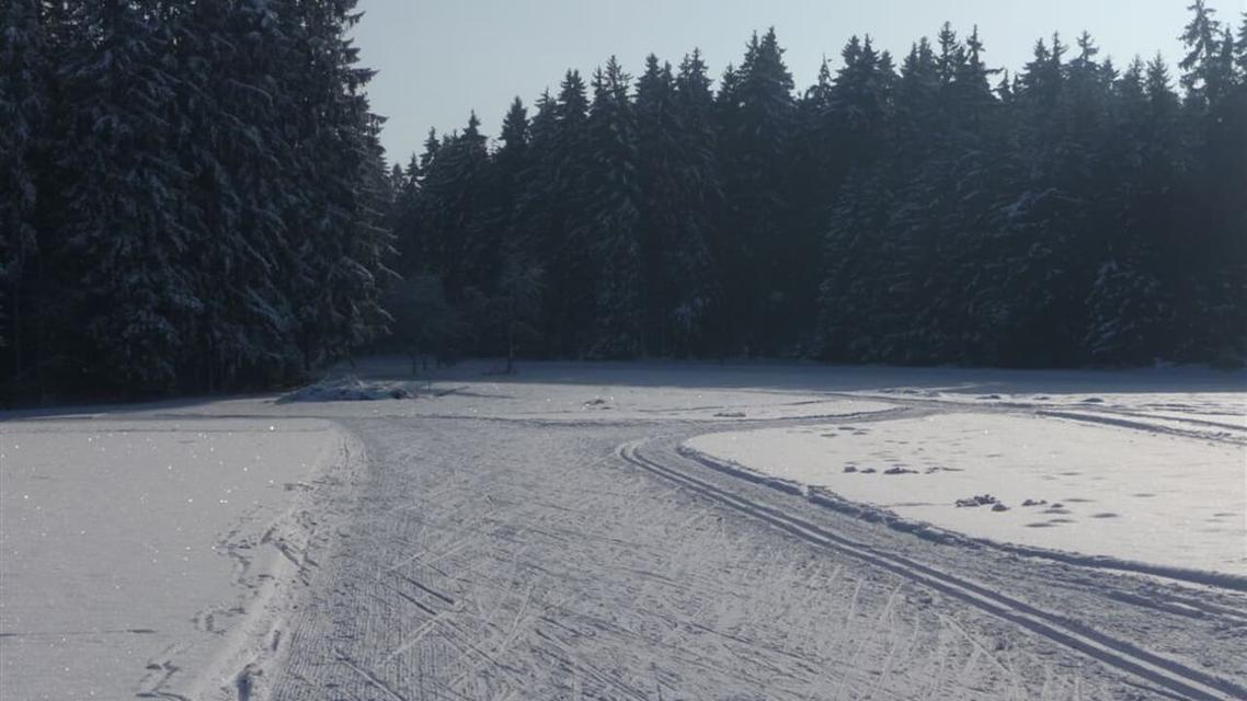 Mittelschwere Strecke über LieritzhofenRundloipe mittelschwer. Teils sonnig auf freien Flächen, teils am Waldrand entlang. Die Lage der Loipen kann leicht variieren, je nach Zustand der Äcker und der Schneehöhe.