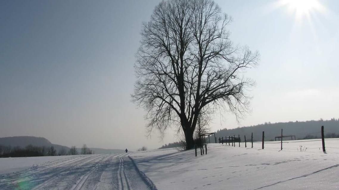 Rundloipe von Lichtenegg über HögenMarkierung: lilaDiese Loipe wird gespurt, wenn ausreichend Schnee und bei Ausblick auf eine längere Winterwetter-Periode entsprechend Nachfrage vorhanden ist.  Bevorzugt gespurt werden  die 
