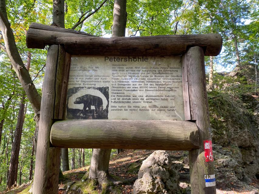 Von Holzstämmen eingefasstes Informationsschild im Wald