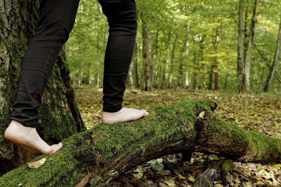 Mensch mit nackten Füßen balanciert auf einem im Wald liegenden dicken Ast