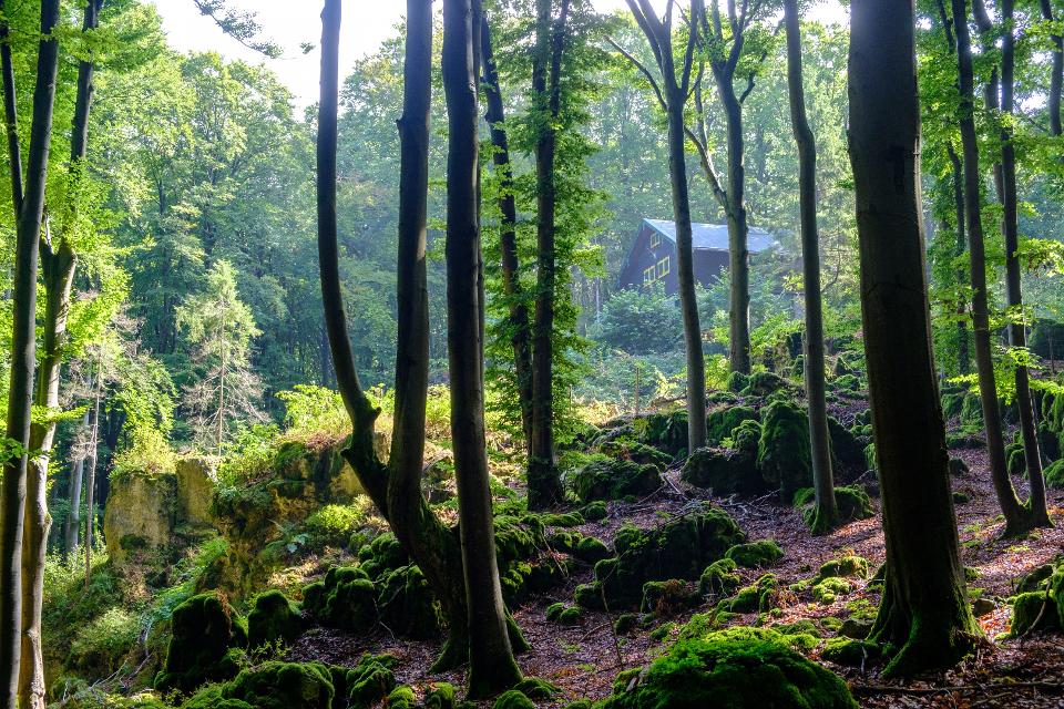 Durch lichte Buchenwälder geht es zum märchenhaften Felsenlabyrinth rund um den Dom, der Kapellenruine Arzlohe und dem Weitblick von der Mühlkoppe.
                 title=