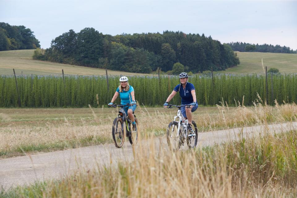 Anspruchsvolle Radtour zu über 20 Hopfenfeldern, drei Brauereien und dem Fränkischen Hopfenmuseum Speikern