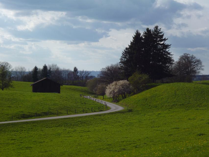 Der Panoramaweg über den Schellenberg wird seinem Namen mehr als gerecht. Schon vom Weg aus, erst recht aber auf dem Schellenberg genießen Spaziergänger einen fantastischen Blick auf die Alpen und den Hohen Peißenberg.   Beschildert: Nr. 17, grün