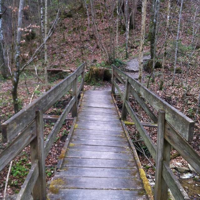 Der Wanderer sieht vor sich die lange Holzbrücke mit Holzgeländern beidseitig. Dahinter geht der Pfad weiter durch den Wald.