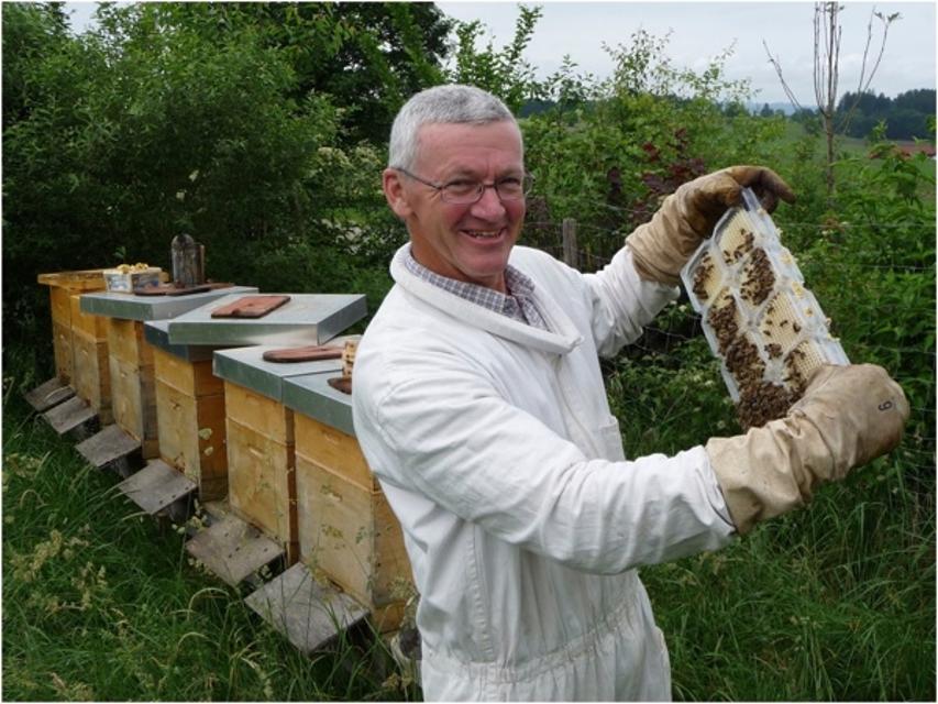 Der Betrachter blickt auf einen Imker, der eine Honigwabe in den Händen hält und vor einer Reihe Bienenkästen steht.
