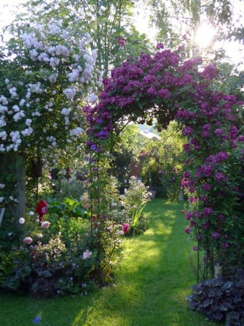Üppige bewachsener Garten mit Rosenbogen.