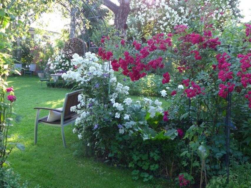 Stilvoll gestalteter Garten mit üppigen Rosen.