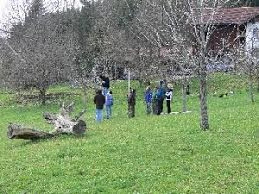 Der Betrachter steht auf einer Wiese mit vielen alten Obstbäumen zwischen denen eine Gruppe Besucher steht.