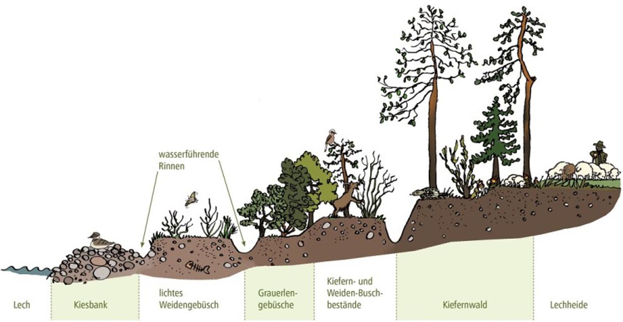 Der Betrachter blickt auf eine Tafel auf der die verschiedenen Lebensraumtypen der Biotope dargestellt wird.