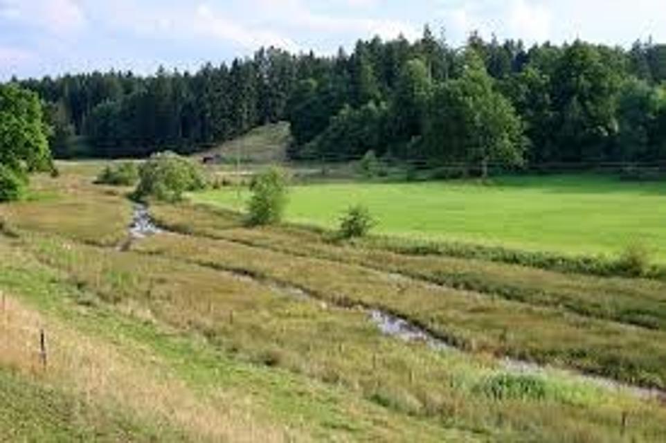 Der Ettinger Bach entspringt südlich dem Dorf und fließt bis Polling weiter.