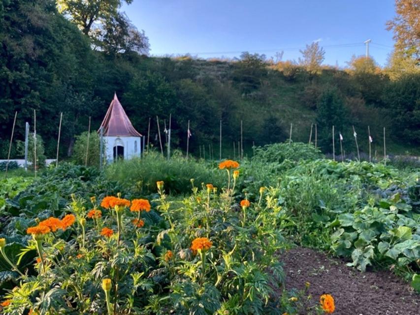 Der Besucher sieht die Gemüse- und Blumenbeete inmitten der reinsten Natur und eine kleine weiße Kapelle, die dem Garten seinen Garten gegeben hat.
