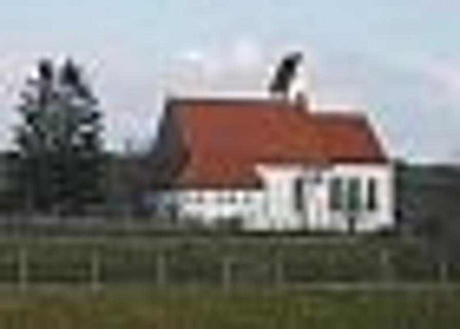 Der Betrachter blickt über ein Feld hinweg zu einer einfachen weißen Kirche mit rotem Ziegeldach.