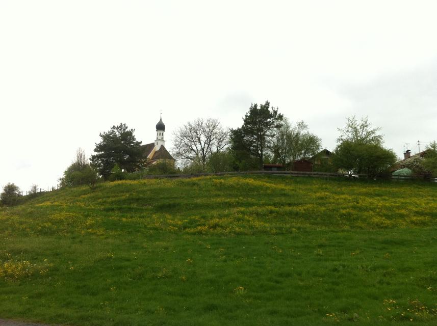 Der Betrachter blickt über eine Wiese einen Hügel hinauf wo inmitten von ein paar Laubbäumen eine romanische Kirche herauslugt.