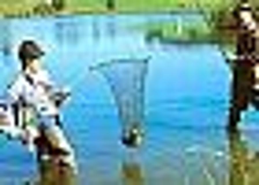 Der Betrachter blickt auf einen See in dem Angler mit Käscher stehen und fischen.