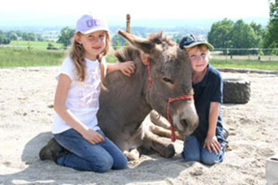 Ein Esel liegt am Boden auf einem Sandplatz. Links und rechts neben seinem Kopf knien zwei Kinder.
