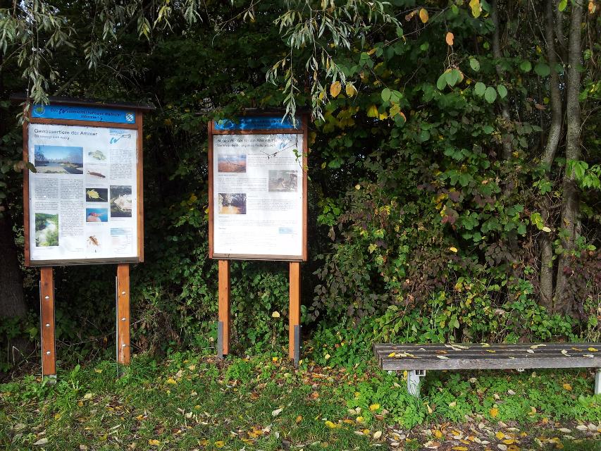 Der Betrachter blickt auf zwei große Informationstafel die Informationen zur Ammer und ihrer Naturlandschaft geben. Daneben steht eine Parkbank.