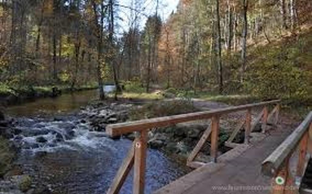 Der Betrachter blickt auf eine Holzbrücke die über eine Fluss führt der durch einen Wald, eine Schlucht fließt.
