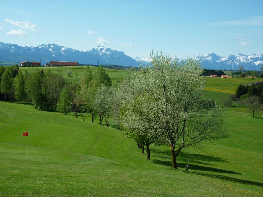 Hügeliger Golfplatz mit Alpenpanorama