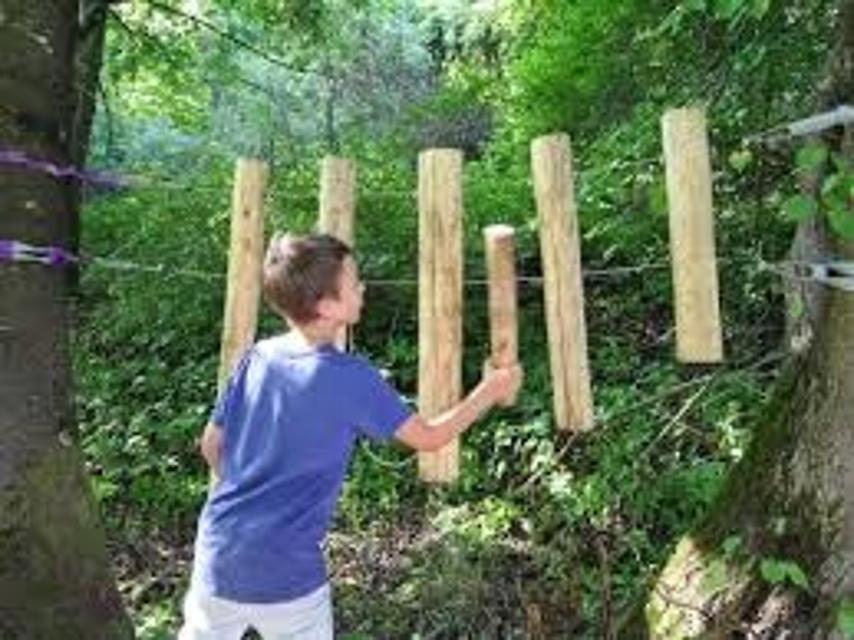 An zwei waagrecht zwischen zwei Bäumen befestigten Stahlseilen baumeln Holzpflöcke mit welchen Klänge erzeugt werden können. Ein Junge steht davor und probiert dies gerade aus.
