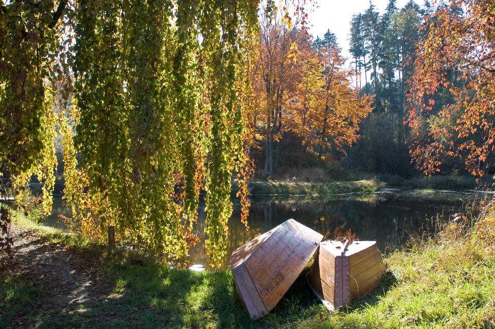 Zwei Boote liegen am Ufer eines idyllisch eingewachsenen Sees an dessen Ufer eine hoch gewachsene Trauerweide steht.