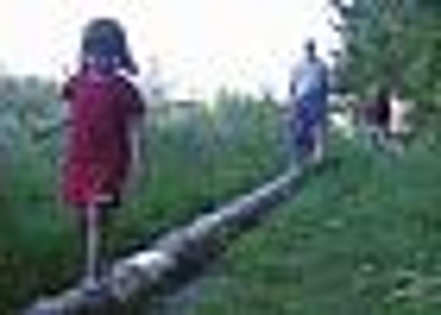 Kinder balancieren auf einem Baumstamm am Barfußpfad auf Gut Hub.