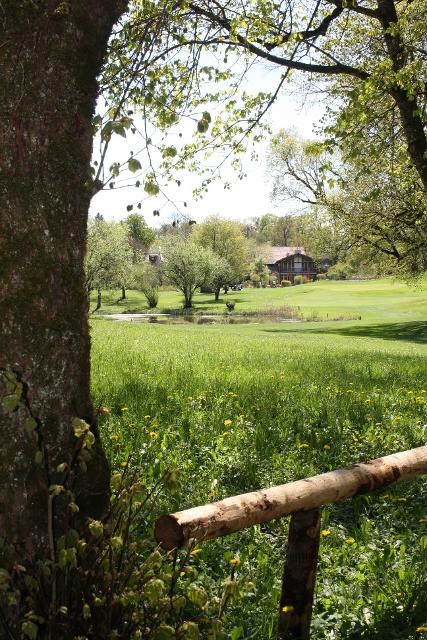 Gelände des Golfplatzes mit Bäumen, einer Teichanlage inmitten der Anlage.