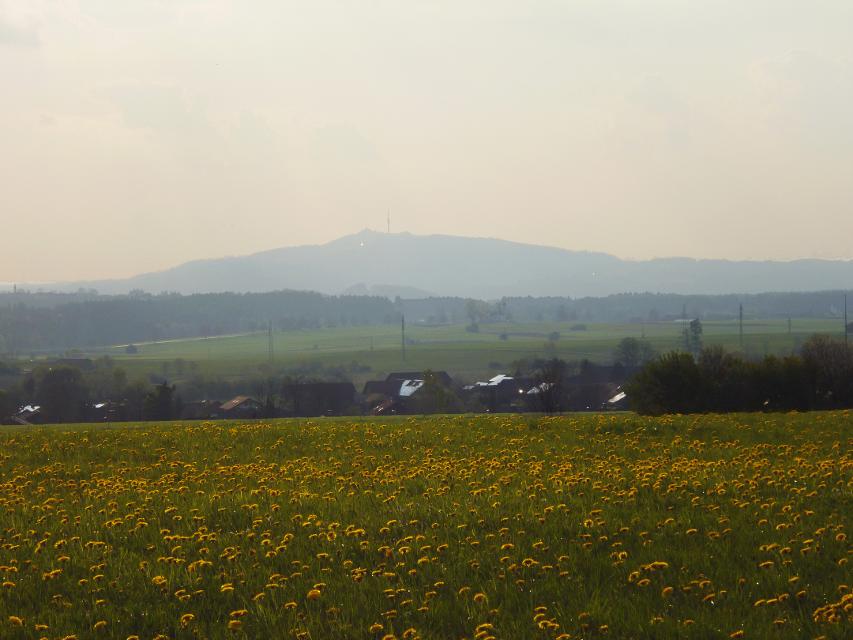 Vom Schellenberg östlich von Eberfing bietet sich ein herrliches Panorama: Nach Westen reicht der Blick über die Häuser von Eberfing hinweg bis zum Hohen Peißenberg mit dem weithin sichtbaren Fernsehturm. In Richtung Süden erheben sich  hinter den Wiesen und Feldern rund um den Schellenberg die f...