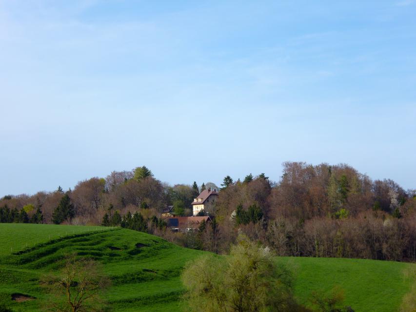 Schloss Hohenberg ist ein schlossartiges Landhaus in der Gemeinde Seeshaupt im oberbayerischen Landkreis Weilheim-Schongau.