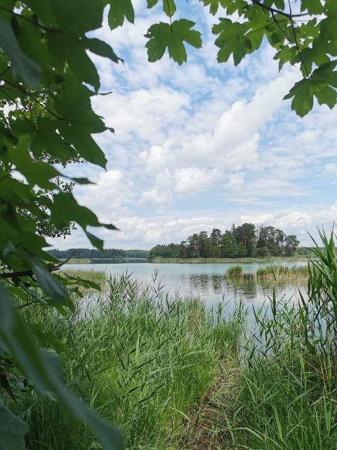 Die perfekte Familienradltour zwischen Osterseen und dem Starnberger See – auch an heißen Sommertagen, da die vielen Waldstücke und Seen für Abkühlung sorgen.