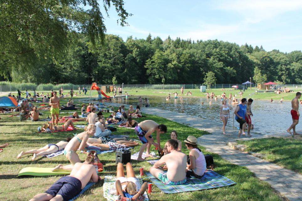 Einzigartig in der Region ist das neu aufgewertete Wörnitzflussbad in Wassertrüdingen.