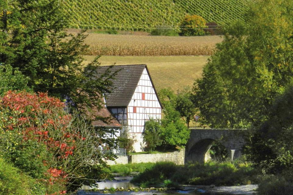 Tauberzell (Gemeinde Adelshofen) und Auernhofen (Gemeinde Simmershofen) sind die Hauptorte des Weinanbaus in der Region! Hier besteht die Möglichkeit, im Weinberg sowohl standesamtlich als auch kirchlich zu heiraten!